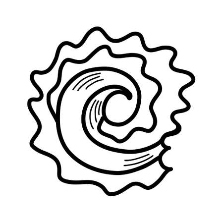 seashell. vector illustration in doodle styleのイラスト素材
