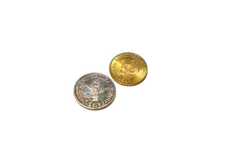 Albanian lek. Albanian coin