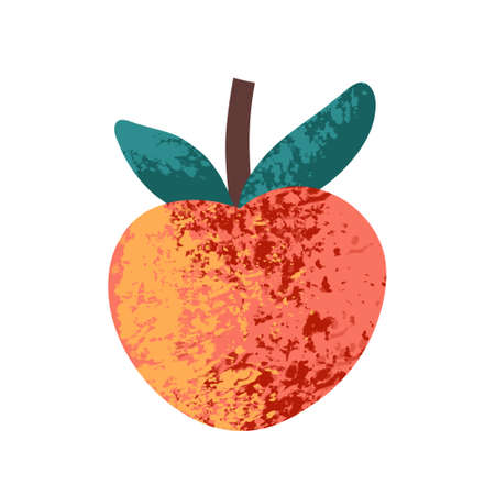 Peach on a white background. Vector illustrationのイラスト素材