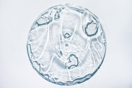 microscopic view of cell culture on agar plate.の写真素材