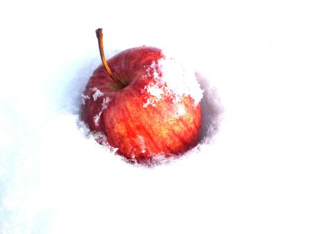 Apple on snowの写真素材