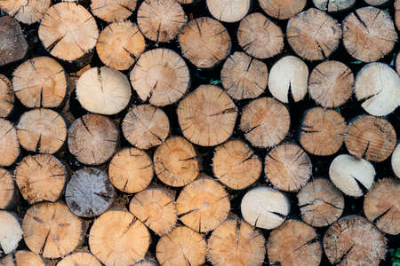 Natural wooden background - closeup of chopped firewood. Firewood stacked and prepared for winter Pile of wood logsの写真素材