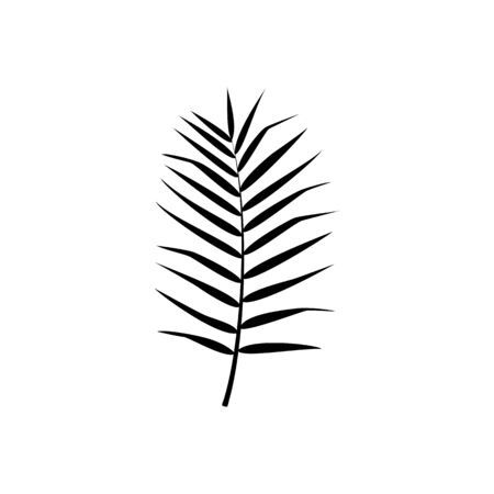 Exotic palm leaf silhouette. Vector isolated illustration with tropical leaf on white background. Can be used for printing, banners, postcard, websites, clothing, design interior.のイラスト素材