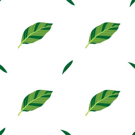 Summer seamless pattern with green leaves. Vector isolated illustration with tropical leaves on white background.のイラスト素材