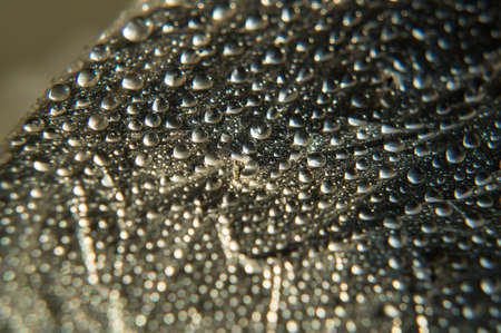 water drops background
