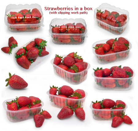 strawberries in a box with pathの写真素材