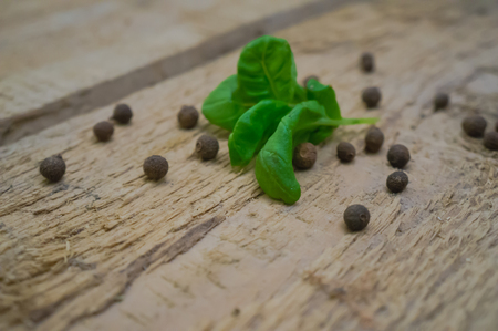 the basil leaves on kitchen tableの写真素材