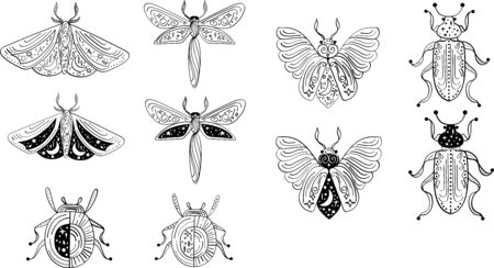 Magical outline illustration of moth, dragonfly, beetle, bug. Mystical clipart of insect for print, card, textile designのイラスト素材