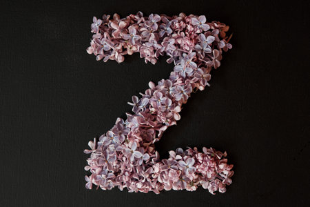 lilac alphabet flower Z letter isolated on black backgroundの写真素材