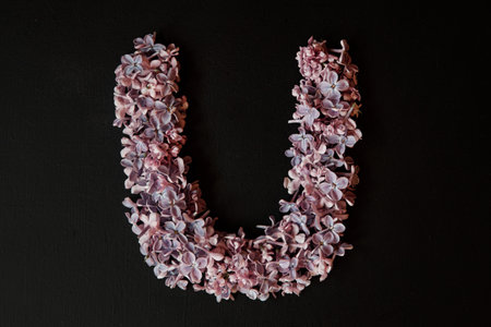 lilac alphabet flower U letter isolated on black background