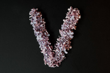 lilac alphabet flower V letter isolated on black backgroundの写真素材