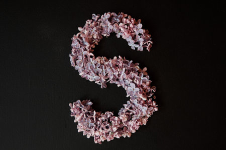 lilac alphabet flower S letter isolated on black backgroundの写真素材