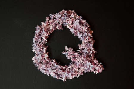 lilac alphabet flower Q letter isolated on black backgroundの写真素材