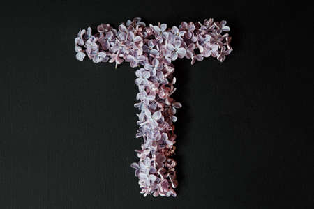 lilac alphabet flower T letter isolated on black backgroundの写真素材