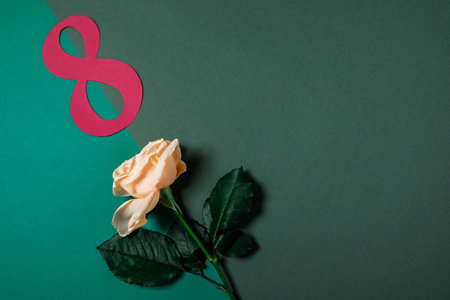 International Women's Day. Postcard for March 8. Flat lay.