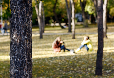 Two people in the park in autumn season with blur backgroundの写真素材