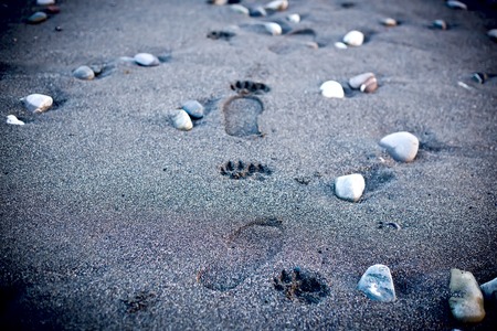 Human footpath on sand beach. Find your way concept. Man walking alone. Nobody. Horizontal composition.の写真素材