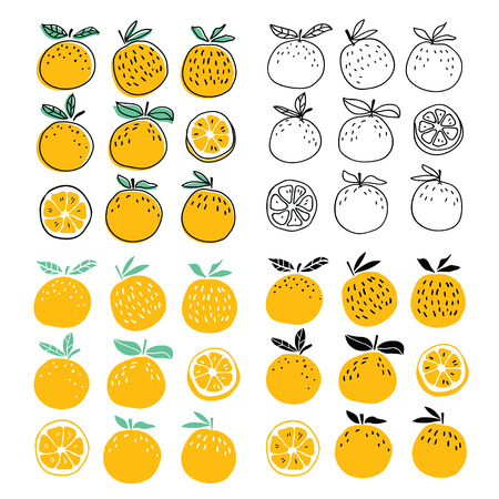 Set of stylish oranges fruits vector illustration. Summer designのイラスト素材