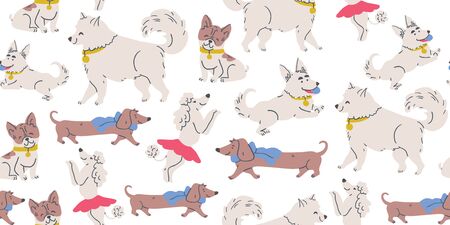 Vector seamless pattern with cute dogs isolated on white: poodle, bulldog, dachshund, corgi, samoyed with stars. Animal pattern, perfect for kids textile, nursery decor, fabricのイラスト素材