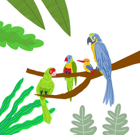 Different type of exotic birds. Vector flat cartoon graphic design illustrationのイラスト素材