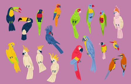 Flat design vector birds icon set. Popular birding species collection. Exotic bird set in flat design.のイラスト素材