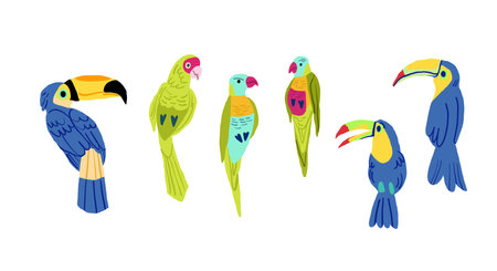 Flat design vector birds icon set. Popular birding species collection. Exotic bird set in flat design on white.のイラスト素材