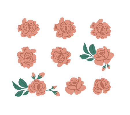 Vector set of pink roses petals isolated on white. Roses clipartのイラスト素材