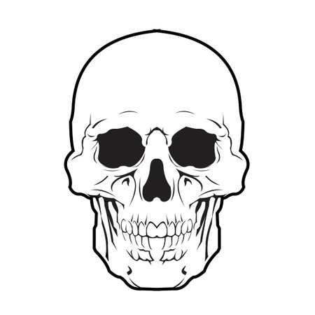 skull head black white vector illustration designのイラスト素材