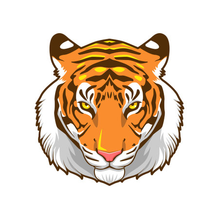 tiger head illustration vector designのイラスト素材