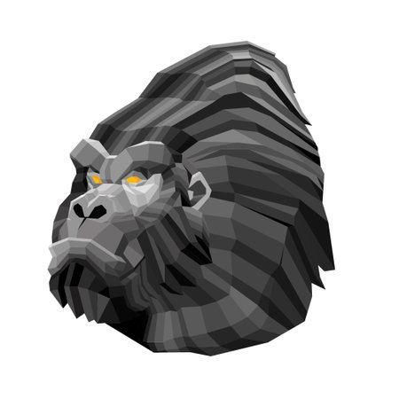 Gorilla head. Vector illustration of gorilla head isolated on white backgroundのイラスト素材