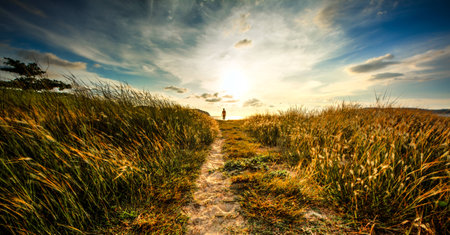 Man in the distanceの写真素材