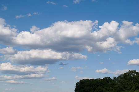 Sunny summer sky with clouds and a fragment of the forest.