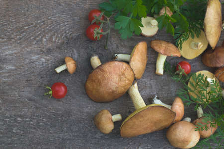 Autumn composition with wild mushrooms and cherry tomatoes.の写真素材