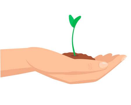 Vector hand holds a handful of earth with a young green sprout. Illustration isolated on transparent background.のイラスト素材