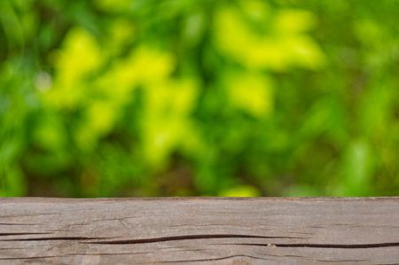 Wooden board with green foliage in the background. Bokeh effect. Template for mock ups and product display.の写真素材