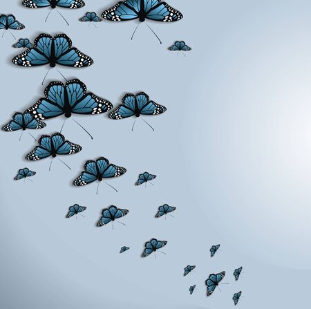 butterfly backgroundのイラスト素材
