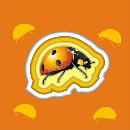ladybugのイラスト素材