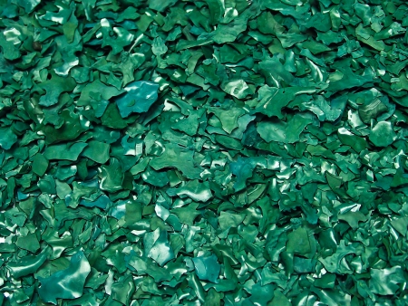 The texture of Spirulina sun dried flakes product
