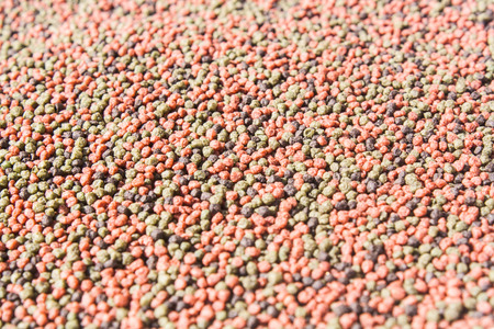 Aquarium Pellet Fish Feed Stock Photoの写真素材