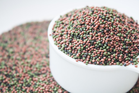 Aquarium Pellet Fish Feed Stock Photoの写真素材