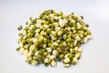 Organic Green Mung Beanの写真素材