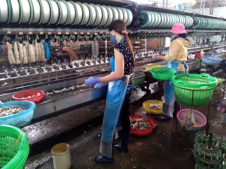 Dalat, Vietnam - 12.07.2019. Factory for the production of natural silkの写真素材