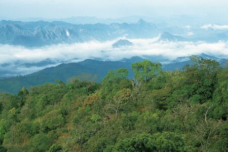 Mountain View, Thailand
