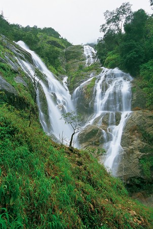 waterfall in deep forest, Thailandの写真素材