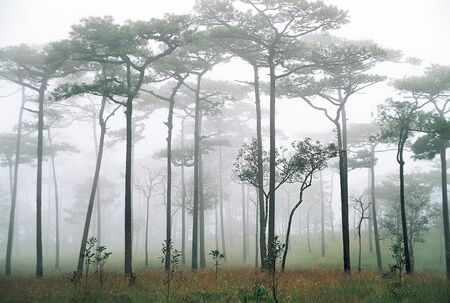 Mountain View, Thailandの写真素材