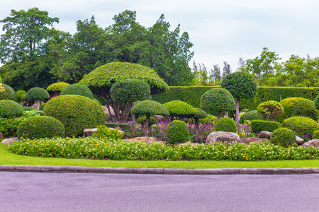 Topiary beautiful garden for relaxation in King Rama 9, Bangkok, Thailandの写真素材