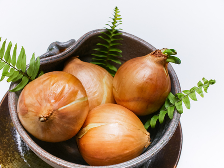Onion on white tableの写真素材