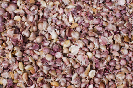 Fresh garlic  group background, Garlic cloves backgroundの写真素材