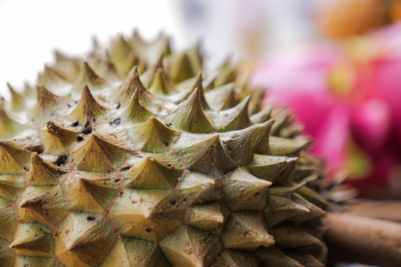 spikes skin of durian or Durio zibethinusの写真素材