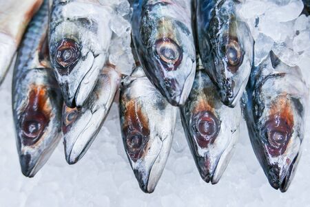 Fresh Mackerel or Saba Fish cover with ice in marketの写真素材